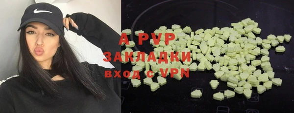 сатива Алексеевка