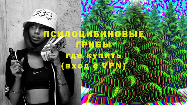 сатива Алексеевка