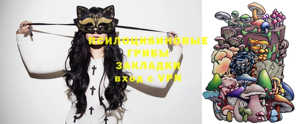 ALPHA PVP Алзамай