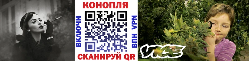 Шишки марихуана марихуана  где можно купить наркотик  MEGA как зайти  Динская 